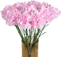 Pink Carnations Artificial Flowers 15PCS Carnations Flowers Silk Flowers 21.25in Fake Flowers for Wedding Home Table Centerpieces Floral Arrangements(Light Pink)