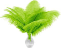 Piokio 20pcs Lemon Green Ostrich Feathers 10-12 inch (25-30cm) Bulk Feathers for Home Decoration and DIY Clothes Decoration, Gatsby Decorations