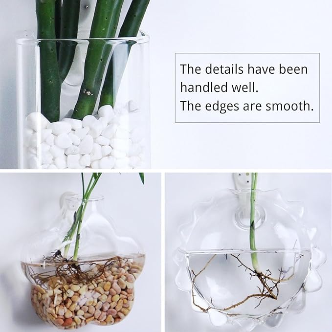Wall-Mounted Acrylic Planter for Hydroponic Plants – Dinosaur Egg Vase, Modern Transparent Design for Home & Office Decoration