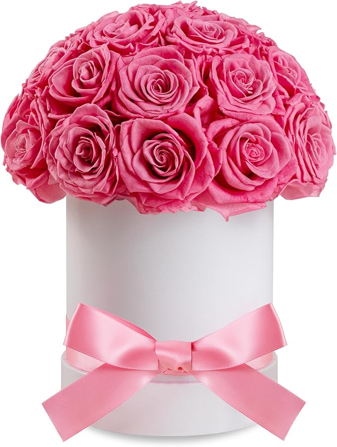 27 Forever Roses Dome in White Box, Eternal Real Roses Gifts for Women, Preserved Flowers for Delivery Prime, Anniversary, Valentine's Day, Christmas, Birthday for Her (Pink)
