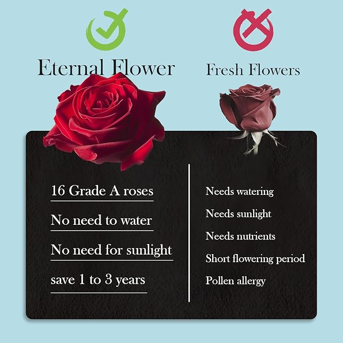 40 Real Preserved Roses in Suede Box Forever Roses Last Up to 3 Years, Flowers for Delivery Prime, Mother’s Day, Birthday, Christmas - Blue