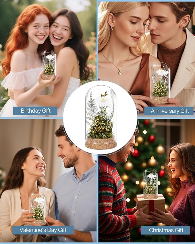 JoyFlower Preserved Daisy in Glass Dome, Real Daisy Eternal Flowers Gifts for Women, Preserved Flower Friendship Gifts for Girlfriend Best Friend Sisters Daughter Birthday Graduation Gift