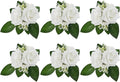 Meldel White Ivory Rose Floral Shoulder Corsages & Boutonniere for Men Wedding, Set of 6, Bride Bridal Bridesmaid Groom Groomsmen Boutineers for Ceremony Anniversary Party Prom Boutonniere