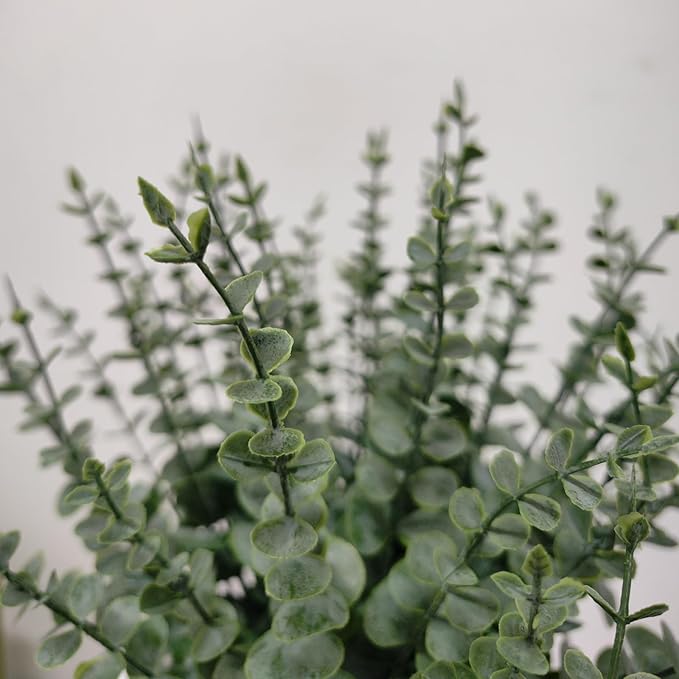 50 Pcs Artificial Eucalyptus Stems Fake Eucalyptus Greenery Branches for Floral Arrangements, Wedding Centerpiece, Crafts