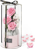 Flowers Forever Roses in A Box, 3 Real Roses with Stems and Bear, Eternal Rose Gifts for Her,Birthday Gifts for Women, Mom,Girlfriend,Grandma,Daughter,Pink