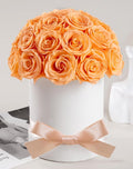 27 Forever Roses Dome in White Box, Eternal Real Roses Gifts for Women, Preserved Flowers for Delivery Prime, Anniversary, Valentine's Day, Christmas, Birthday for Her (Champagne)