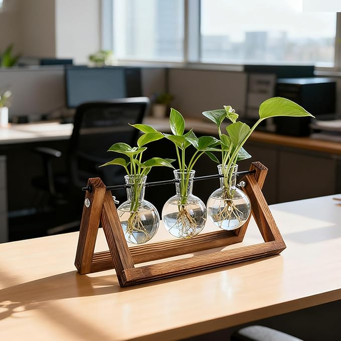 Plant Propagation Station, Plant Terrarium with Wooden Stand, Unique Gardening Birthday Gifts for Women Plants Lovers, Home Office Garden Decor Planter - 3 Bulb Glass Vases