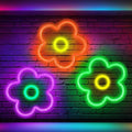 Baquler 3 Pcs Flower Neon Sign Light up Flower Sign Retro Neon LED Lights USB Powered for Wall Decor Window Bedroom Home Girls Birthday Christmas Party Decoration, 9 x 9 Inches(Bright)
