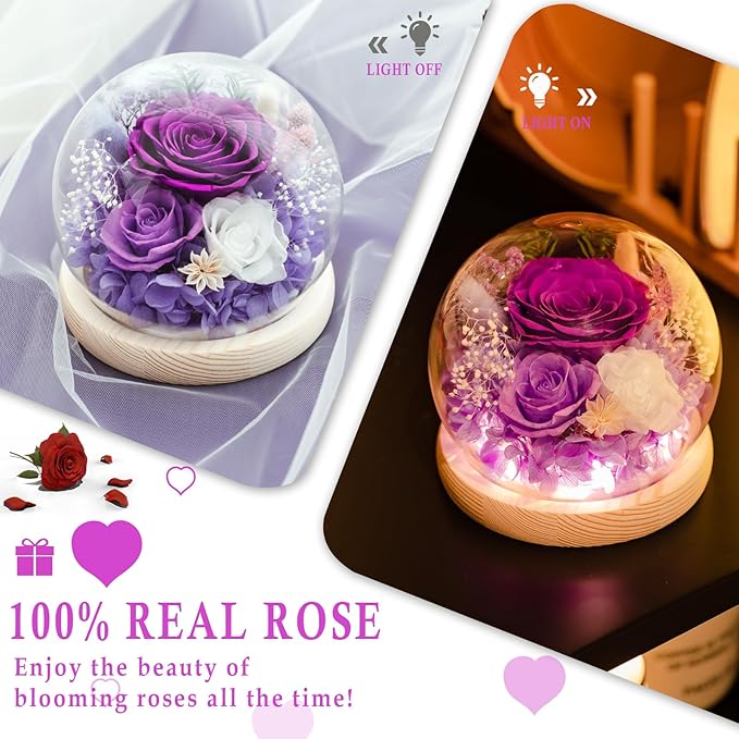 FIACO Gifts for Women Christmas Preserved Rose Forever Fresh Flowers for Delivery Birthday Flowers Gifts for Mom Grandma Wife Friends Purple Eternal Roses in Glass Dome