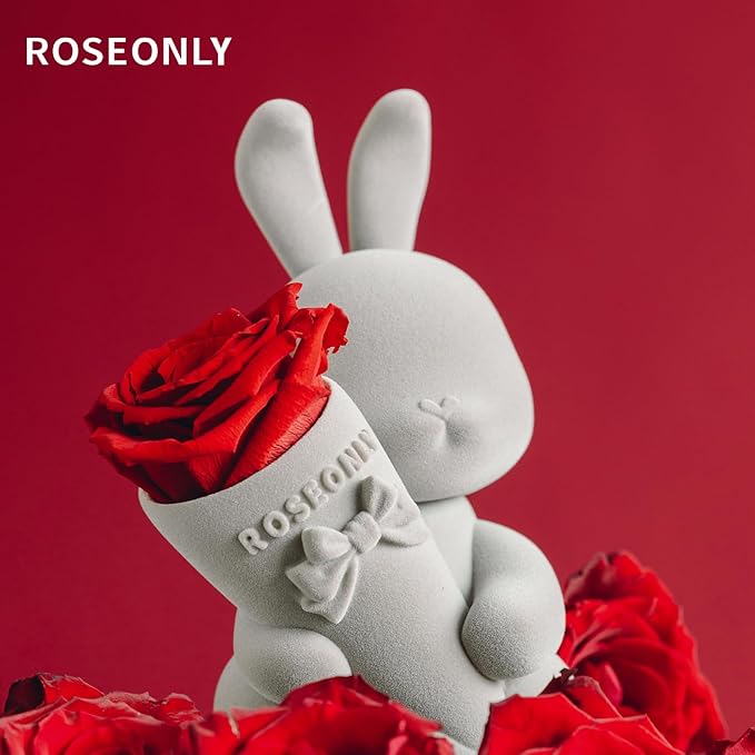 roseonly. Preserved Rose with Sweet Bunny, Eternal Flowers Gifts for Women Girlfriend Wife Mothers Real Roses for Valentine's Day Christmas Birthday Mother's Day Anniversary (Standard)