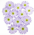 Daisy Silk Flower Heads, 12 Pcs Artificial Daisy Flower Heads, 3.5 Inch Light Purple Floral Heads Fake Daisies for Decoration, DIY Craft, Vase, Flower Arrangement, Hats, Costume, Hair