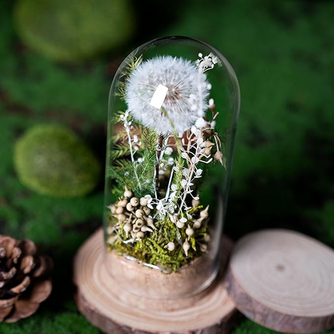 JoyFlower Preserved Dandelion in Glass Dome, Real Dandelion Eternal Flowers Gifts for Women, Preserved Flower Friendship Gifts for Girlfriend Best Friend Sisters Daughter Birthday Graduation Gift