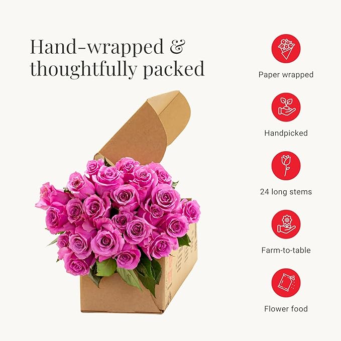 BloomsyBox- Light Pink Roses -24 Long Stems, Long Lasting, Hand-Tied in Eco-friendly, Vase Not Included, Fresh Flowers for Delivery – Gift for Birthday, Anniversary,Congratulations, Wedding