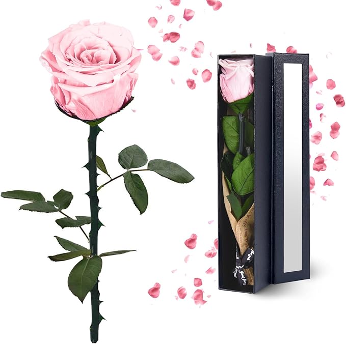Pink Preserved Flowers Gifts for Women: Eternal Rose Birthday Christmas Anniversary for Mom Girlfriend Wife Grandma