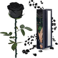 Black Preserved Flowers Gifts for Women: Roses for Birthday Wedding Gift for Girlfriend Wife Grandma Mom