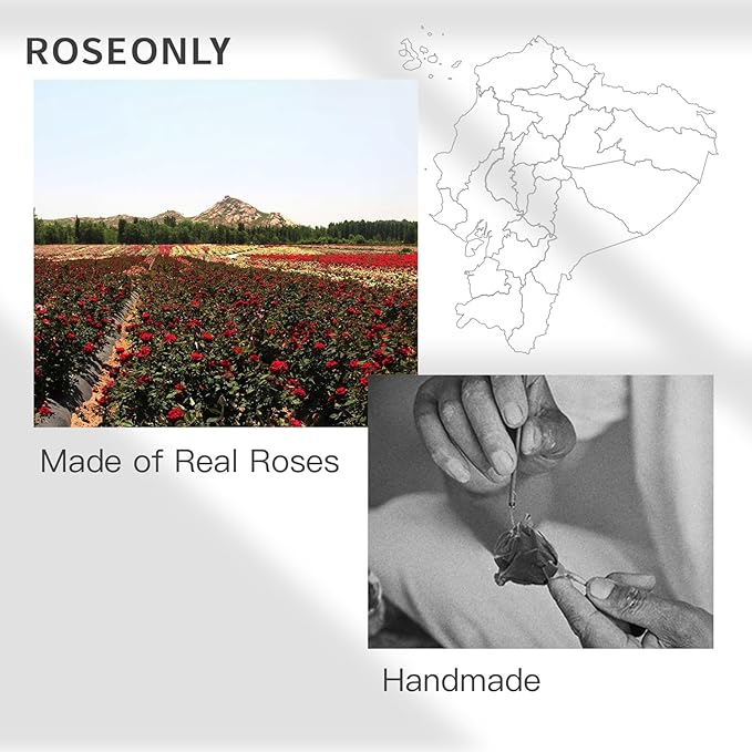 Preserved Rose with Water-Drop Shape, Eternal Flowers Gifts for Women Girlfriend Wife Mothers Real Roses Presents for Her Valentine's Day Christmas Birthday Mother's Day Anniversary (Red)