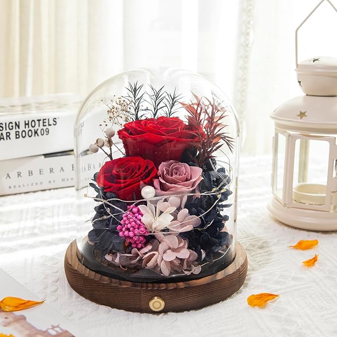 Large Preserved Flowers with Card&Box-Flowers for Delivery Prime,Eternal Rose with Lights,Roses in Glass Dome,Romantic Gift for Her,Decoration, Fresh Rose Flowers for Mom, Birthday, Anniversary (Red)