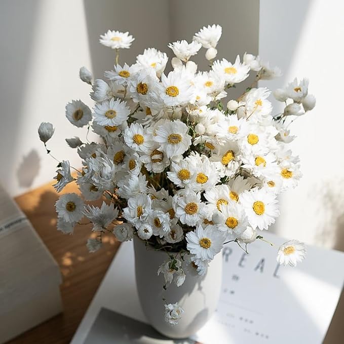 Dried Daisy Flowers Bouquet, 250+ Dry White Flowers, Artificial Sunflowers, 17'' Natural Gerber Daisies Arrangements for Farmhouse Vase Decor, Wedding, DIY Home Office Party Decoration