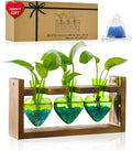 Nacome Plant Terrarium Propagation Stations: Christmas Gifts for Plant Lovers Women Mom Wife - Wooden Stand Tabletop Planter 3 Bulb Glass Vase Heart Shaped for Hydroponics Indoor Home Decor(Green)