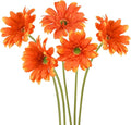 Orange Gerbera Daisy Artificial Flowers – Real Touch Artificial Wildflowers 5PCS, Long Stem Faux Daisies for Fall Home Décor, Home Table Centerpieces, or Wedding Arrangements