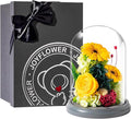 JoyFlower Preserved Sunflower Gifts for Women, Eternal Flowers Real Rose in Glass Dome, Forever Sunflowers Gift for Mom Wife Girlfriend, Unique Birthday Anniversary Graduation Sunflower Gifts for Her