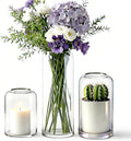 Glass Bud Vases Set of 3 Clear Flower Vase for Centerpieces Shelf, 3.9'' 4.9'' 6.7'' Modern Small Vases for Living Room Bedroom Office Home, Decor for Wedding House Warming Party