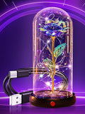 Beferr Birthday Gifts for Women Mom Rechargeable Galaxy Glass Roses Forever Preserved Flowers for Delivery Prime Smart Touch Light Up Rose in Dome Gift for Grandma Sister Wife Her Girlfriends Daughter