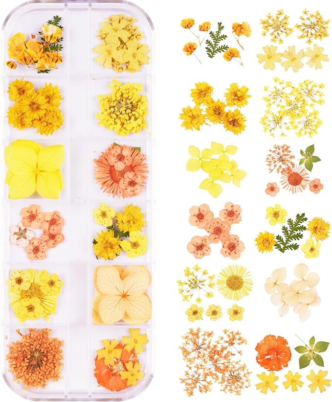60Pcs Small Dried Pressed Flowers for Crafts,Xinxinran Mini Dry Flower Kit for Nail Art,Epoxy Resin Accessories,Bookmark,Nails, Jewelry Making,Candle,Soap,Resin Molds(1 Boxs)