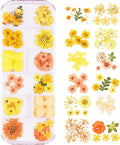 60Pcs Small Dried Pressed Flowers for Crafts,Xinxinran Mini Dry Flower Kit for Nail Art,Epoxy Resin Accessories,Bookmark,Nails, Jewelry Making,Candle,Soap,Resin Molds(1 Boxs)