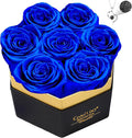 Preserved Roses Flowers for Delivery 7 Pcs, Forever Flores in a Box with Necklace, Eternal Rose Anniversary Birthday Gifts for Women Mom Wife Girlfriend, Rosas for Valentines Christmas, Blue