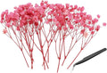 PATIKIL Mini Dried Gypsophila Flower Kit, 30Pcs 4 Inch Pink Natural Pressed Floral Bundles with Tweezer for DIY Resin Crafts Gift Wedding Christmas Card Decor Flower Bouquets
