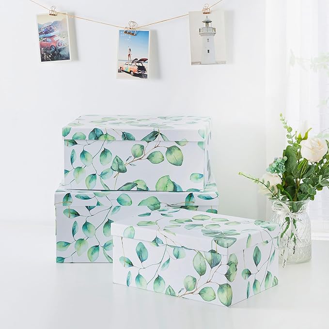 Soul & Lane Decorative Cardboard Storage Boxes with Lids for Home Decor and Organization, Set of 3 Large Keepsake Boxes for Memories & Gifts, Nesting Floral Photo Storage Containers, Eucalyptus Leaves