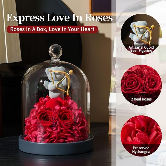 SEEROSE Preserved Rose with Cupid Bear in Glass Dome, Eternal Real Rose Romantic Gift for Her, Women, Mom, Wife, Girlfriend, Valentine’s Day, Mother’s Day, Christmas, Birthday (Cupid Bear, Red)