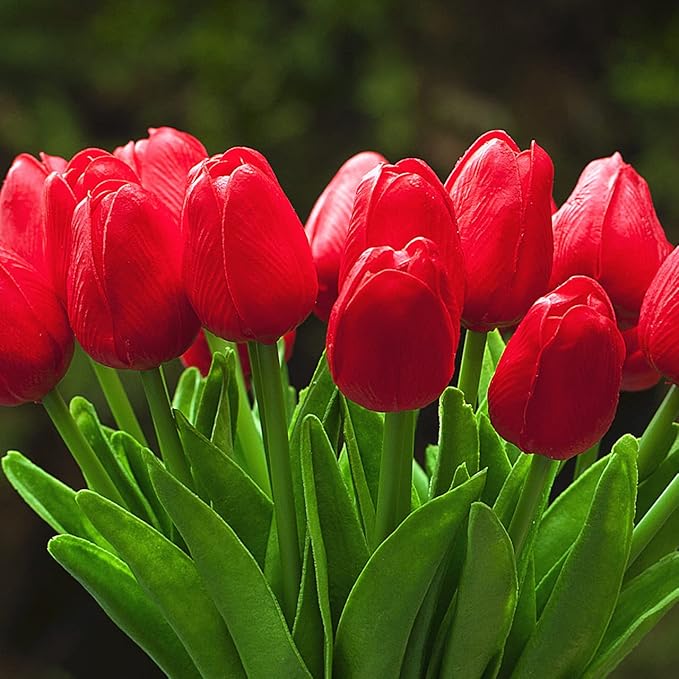 ENOVA FLORAL 20 Pieces Real Touch Artificial Tulips Flowers in Vase, Fake Red Tulips with Vase and Faux Water for Home Wedding Decoration, Dining Table (Red)