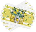 Lemon Kitchen Table Placemats Set of 4 Retro Country Floral Plant Print Placemat Indoor Outdoor Party Home Desktop Dining Room Decor 12x18 Inch