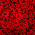 Avezano Valentine's Day Backdrop Rose Flower Wall Photo Background Red Rose Wedding Bridal Shower Photography Backdrop Mother's Day Birthday Party Dessert Table Banner (6x6ft)