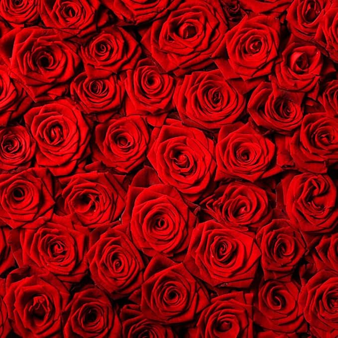 Avezano Valentine's Day Backdrop Rose Flower Wall Photo Background Red Rose Wedding Bridal Shower Photography Backdrop Mother's Day Birthday Party Dessert Table Banner (6x6ft)