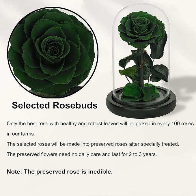 NATROSES Handmade Preserved Roses in Glass Dome, Green Roses, Preserved Flowers Gifts for Women, Mothers Day Flowers