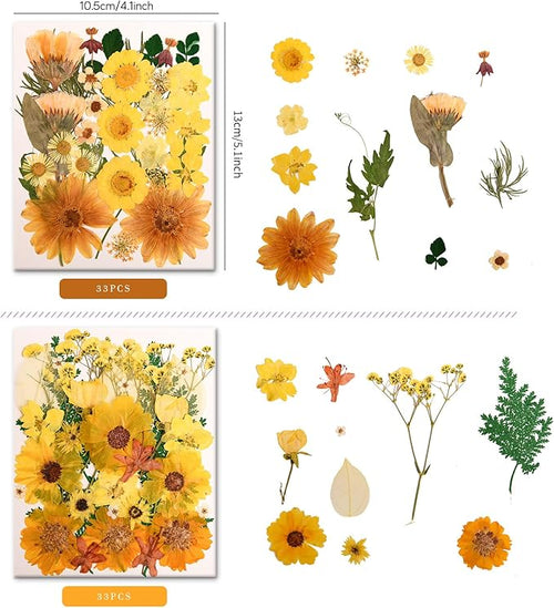 140 PCS Yellow Real Pressed Dried Flowers and Leaves with Butterfly Stickers & Tweezers – Natural Dried Flowers for Resin, Candle, Jewelry, Scrapbooking & DIY Crafts (Yellow 140)
