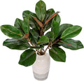 Briful Faux Magnolia Branches 22 Inches Artificial Magnolia Leaves Stems Real Touch Faux Greenery for Home Office Room Table Vase Farmhouse Decor (Dark Green - Pack of 3)