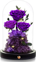 Christmas Flowers Roses Gifts for Mom,Forever Real Preserved Roses in Glass Dome,Christmas Anniversary Thanksgiving Gifts for Wife Girlfriend Women Best Friend Grandma/Purple Rose