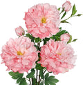 3Pcs Pink Peonies Artificial Flowers 27.5" Fake Flower Silk Flowers with Long Stem Floral Arrangements Bouquets Faux Peony Flowers for DIY Wedding Party Centerpieces Decor Home Office Decoration