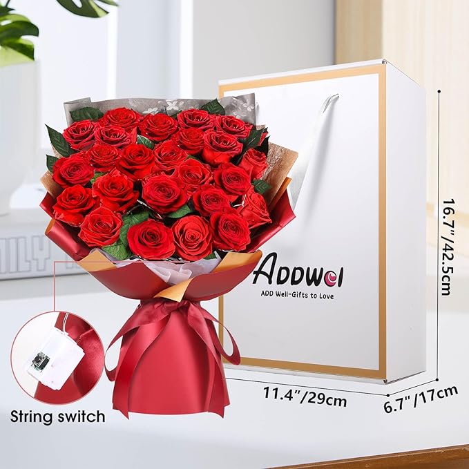 ADDWel 24 Preserved Real Red Rose Bouquet Long-Lasting Flowers for Her and Romantic Gifts for Wife Girlfriend, Two Dozens Forever Fresh Roses for Delivery Prime