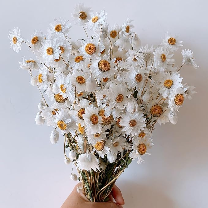 Dried Daisy Flowers Bouquet, 150+ Dry White Flowers, Artificial Sunflowers, 17'' Natural Gerber Daisies Arrangements for Farmhouse Vase Decor, Wedding, DIY Home Office Party Decoration