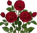Real Touch Artificial Roses (Set of 3) – 23.6" Long Stem Red Garden Roses – Lifelike Faux Silk Flowers for Wedding Bouquets, Home Décor, Centerpieces & Floral Arrangements