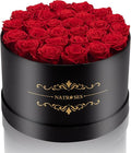 NATROSES 27 Piece Forever Preserved Roses in a Box, Preserved Flowers for Delivery Birthday, Flowers Gifts for Mothers Day, Red