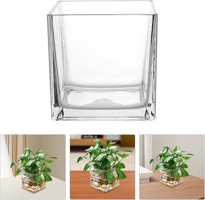 SMASOLO Clear Hydroponic Glass Cube Vase Thickened Square Flower Planter Decorative Hydroponic Flower Container for Home Office Table Centerpiece