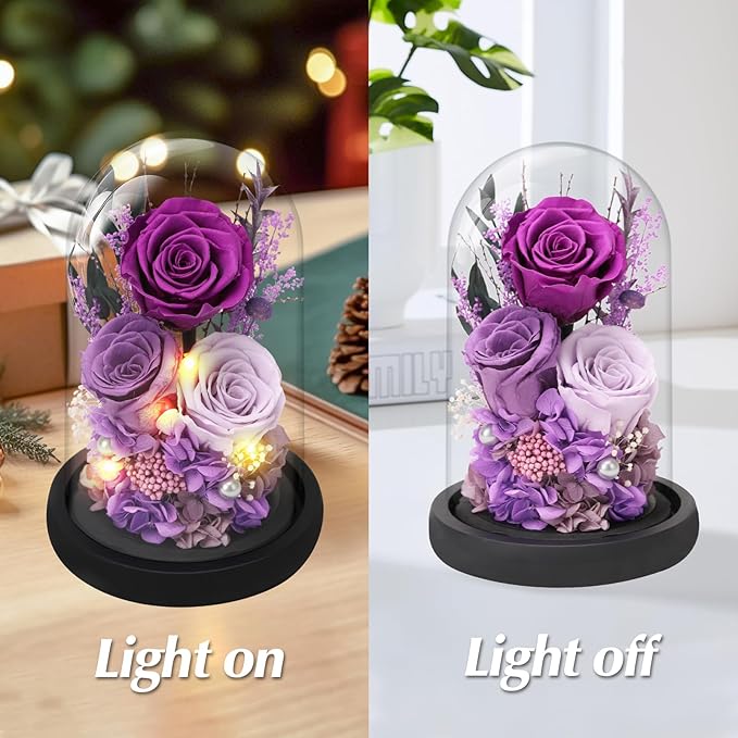 Casaido Preserved Roses Flowers for Delivery, Purple Forever Flores in Glass Dome for Women Mom Wife Girlfriend Grandma, Eternal Rose Anniversary Birthday Gift for Mothers Day Valentines Christmas