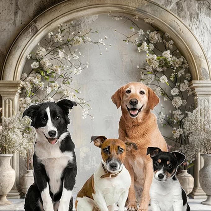 7x5ft White Flowers Wedding Backdrop Countryside Wildflower Vintage Palace Concrete Wall Photography Background for Valentines Day Bridal Shower Mothers Day Princess Couples Portraits