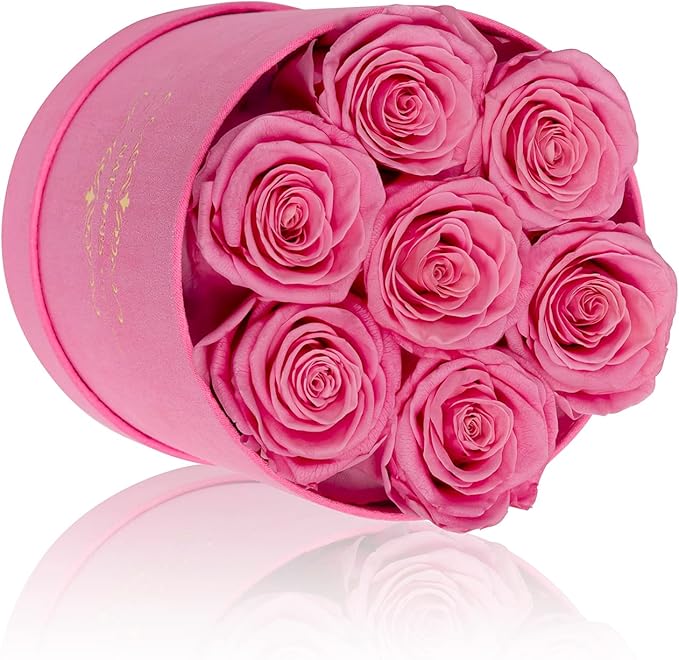 NATROSES 7 Piece Preserved Roses in a Box, Preserved Flowers for Birthday, Flower Gifts for Mothers Day (Pink)